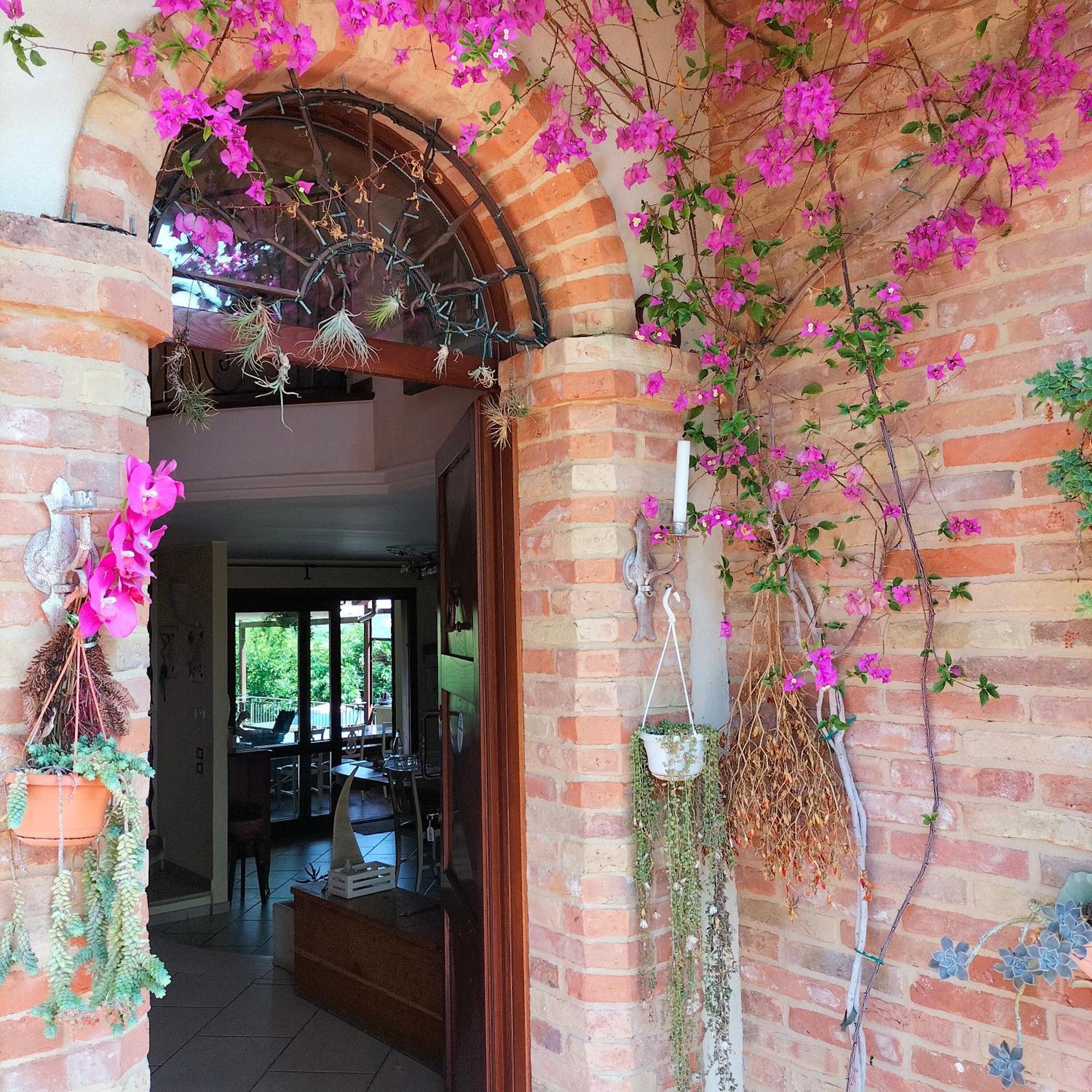 Ca' Dei Gelsi B&B Coriano Exterior foto